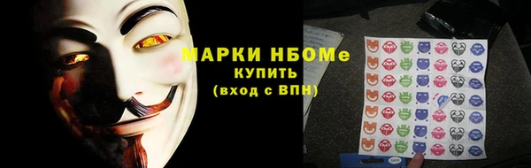 СК Снежногорск
