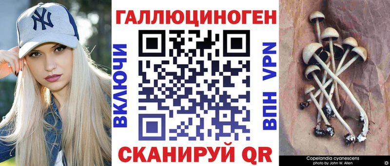 Галлюциногенные грибы Psilocybine cubensis Рыбинск